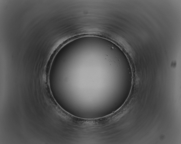 X0000096710883200802121223