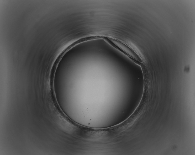 X0000096710884200802121223