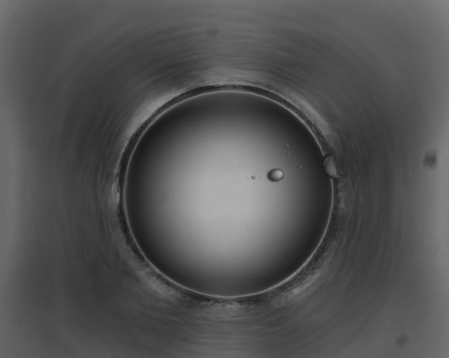 X0000096710885200802121223