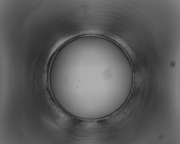 X0000096710886200802121223