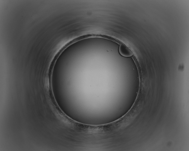 X0000096710887200802121223