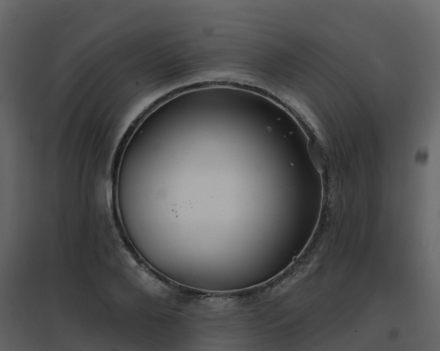 X0000096710888200802121223