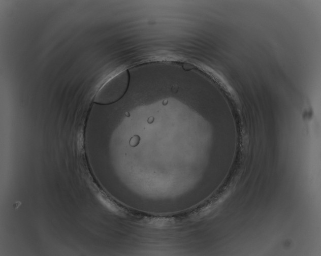 X0000096710889200802121223