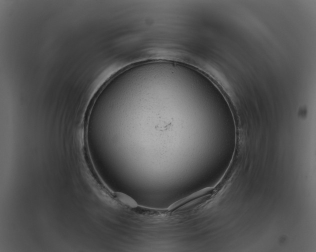 X0000096710891200802121223