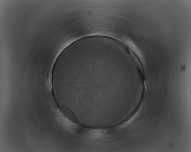 X0000096710892200802121223