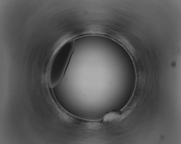 X0000096710893200802121223