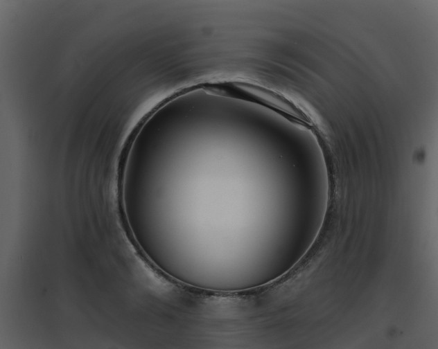 X0000096710894200802121223