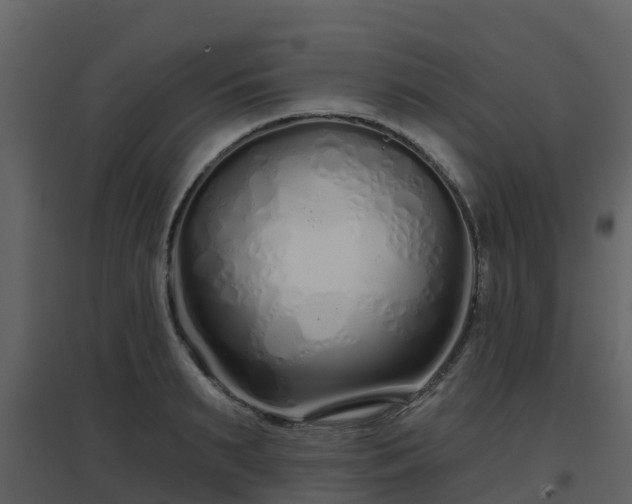 X0000096710895200802121222