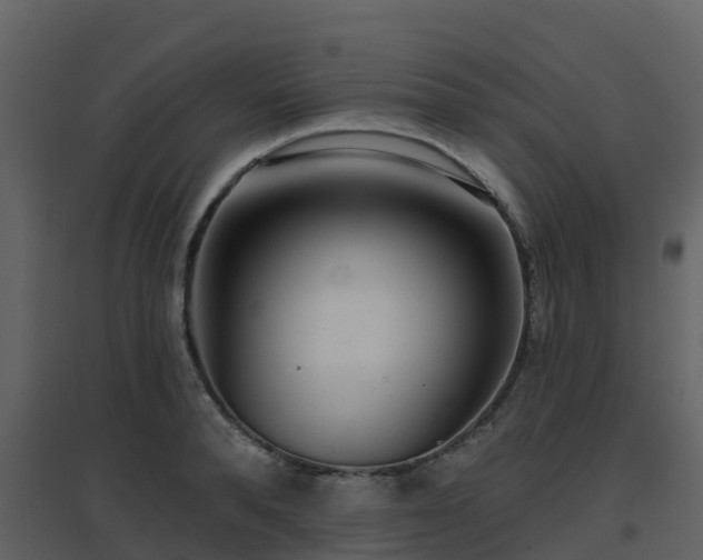 X0000096710896200802121222