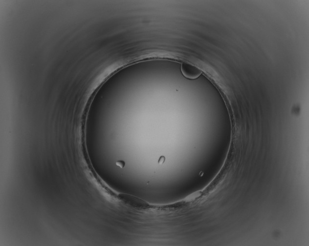 X0000096710898200802121222