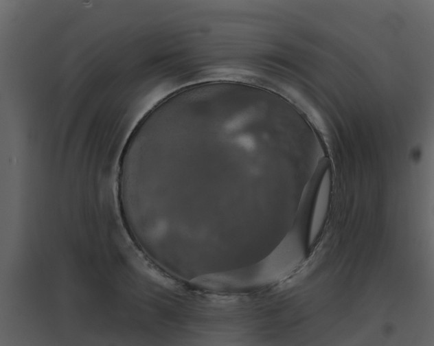 X0000096710899200802121222