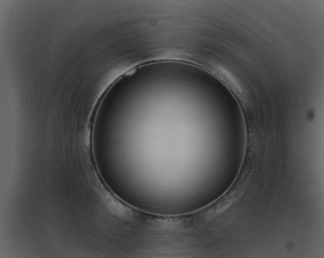 X0000096710900200802121222