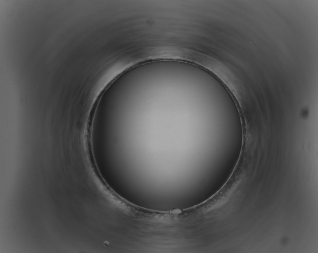 X0000096710901200802121222