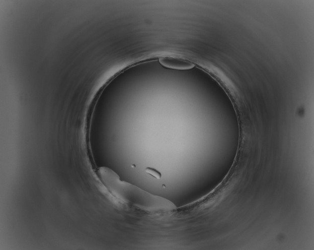 X0000096710902200802121222