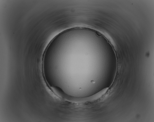 X0000096710903200802121222