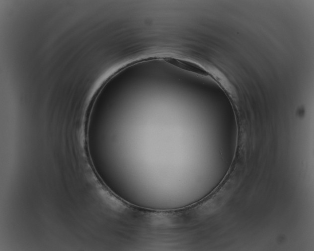 X0000096710904200802121222