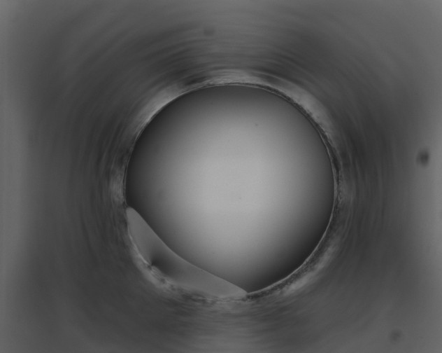 X0000096710905200802121222