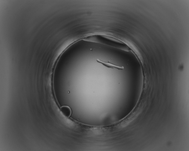 X0000096710906200802121222