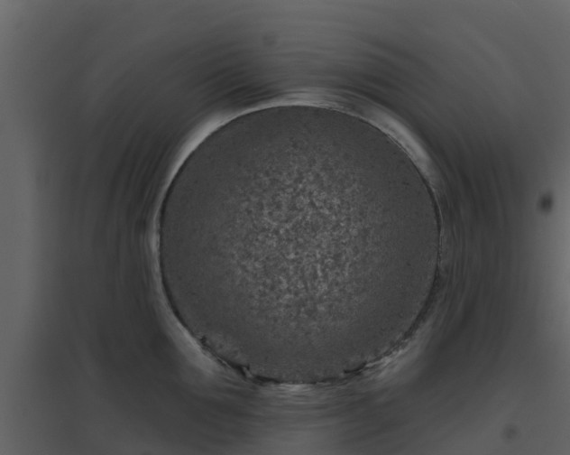 X0000096710907200802121222