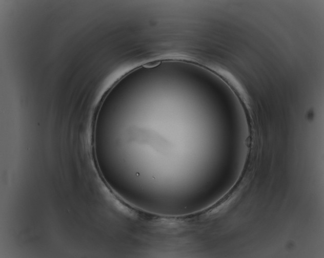 X0000096710910200802121222