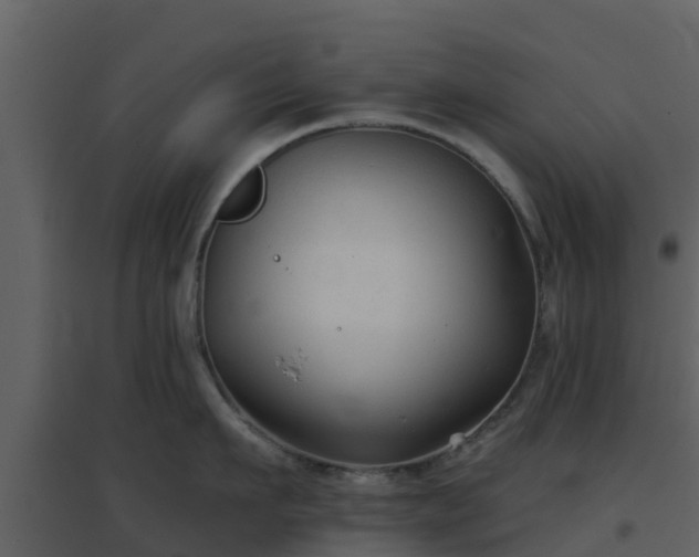 X0000096710911200802121222