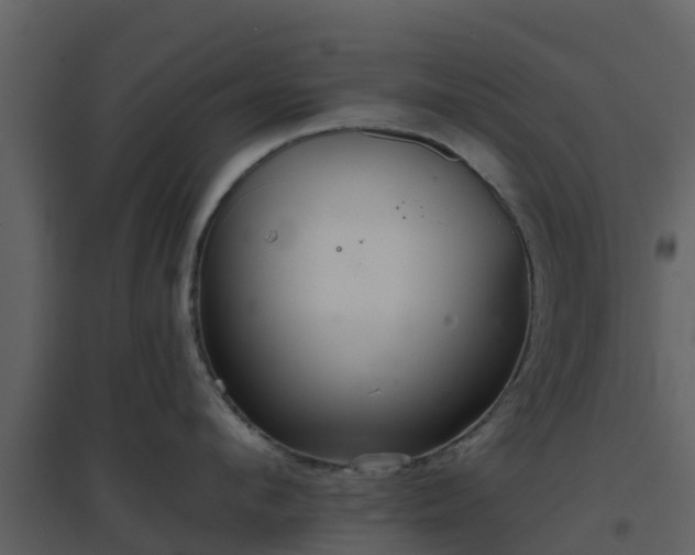 X0000096710912200802121222