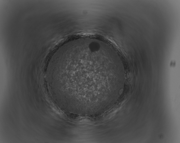 X0000096710913200802121222