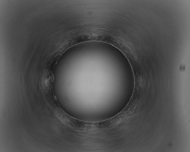 X0000096710914200802121222