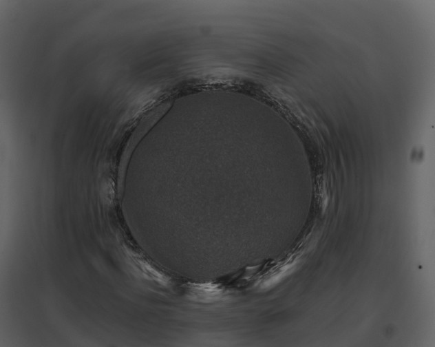 X0000096710916200802121222