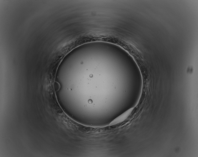 X0000096710917200802121222