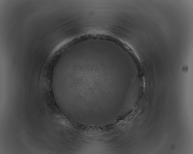 X0000096710919200802121222