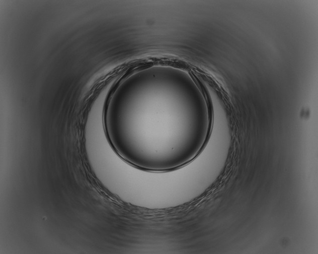 X0000096710920200802121222