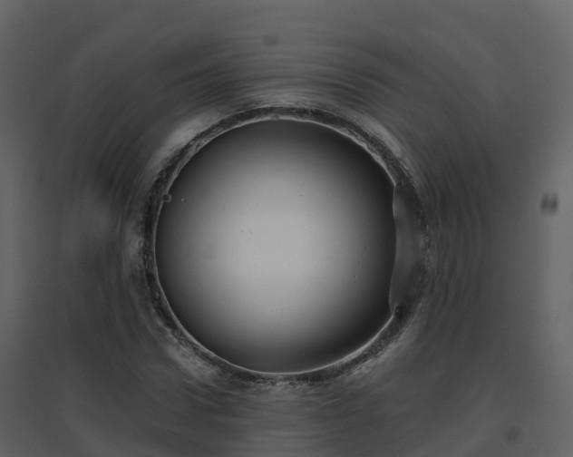 X0000096710922200802121222