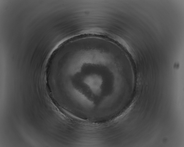 X0000096710923200802121222