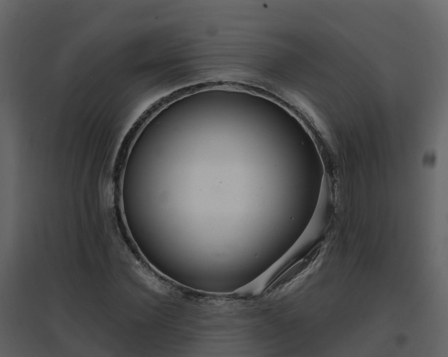 X0000096710924200802121222