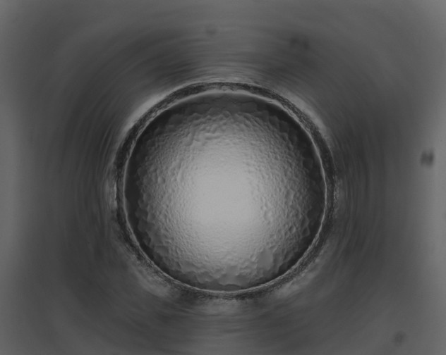 X0000096710925200802121222