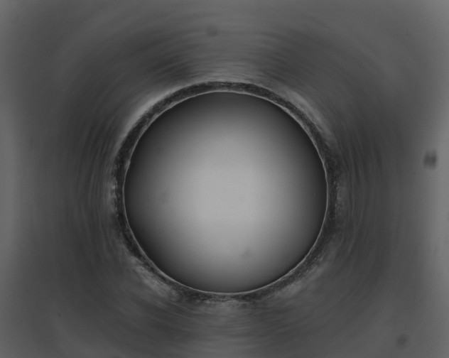 X0000096710926200802121222