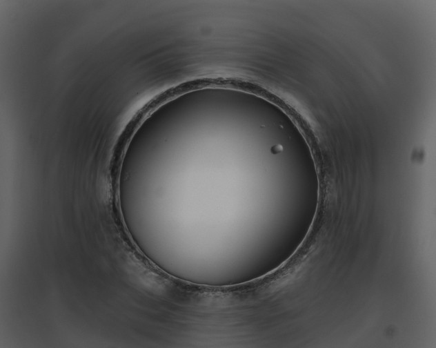 X0000096710927200802121222