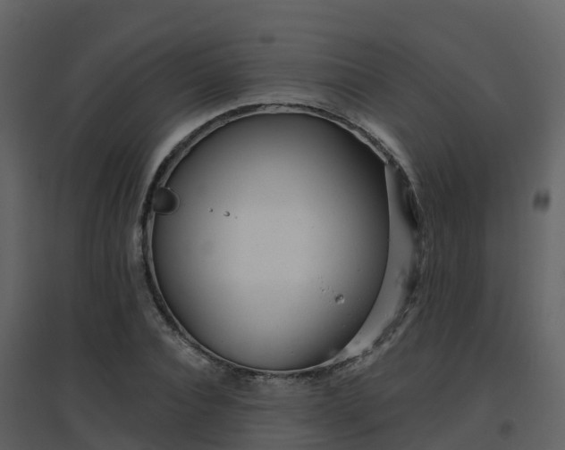 X0000096710928200802121222