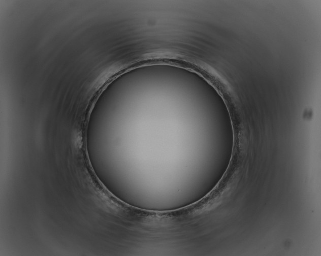 X0000096710929200802121222