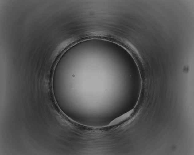 X0000096710930200802121222