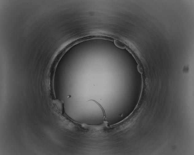 X0000096710931200802121222