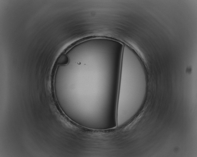 X0000096710932200802121222