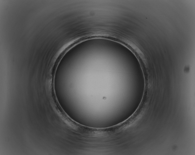 X0000096710933200802121222