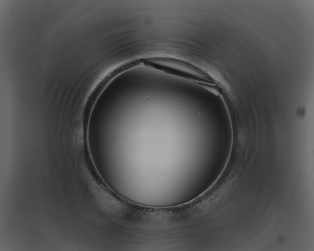 X0000096710934200802121222