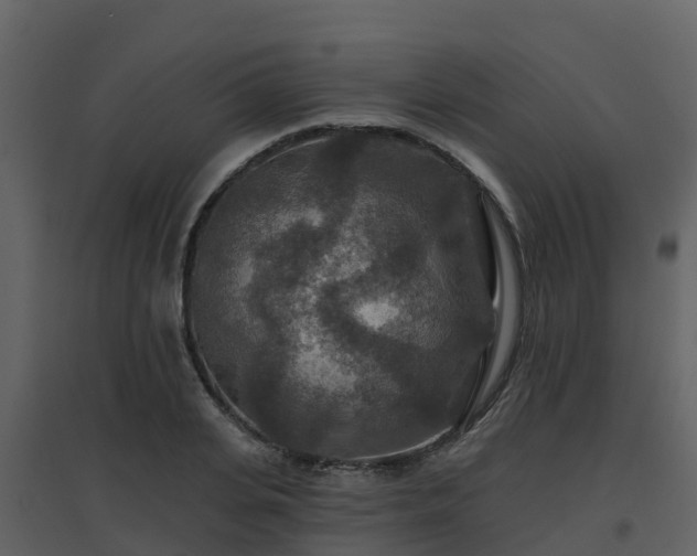 X0000096710935200802121222