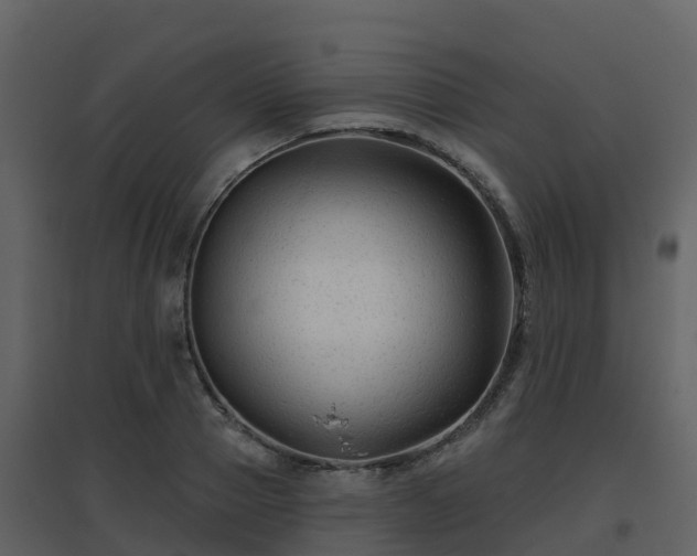 X0000096710937200802121222