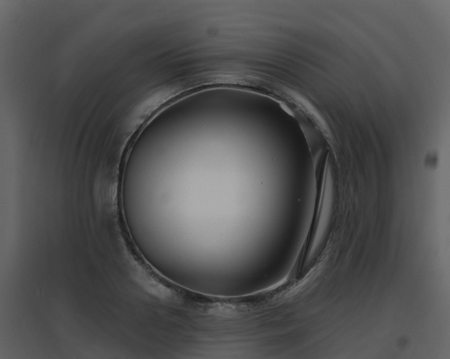 X0000096710938200802121222