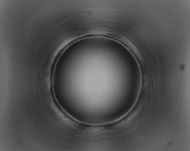 X0000096710939200802121222