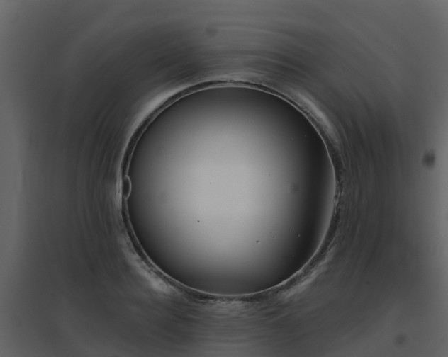 X0000096710940200802121222